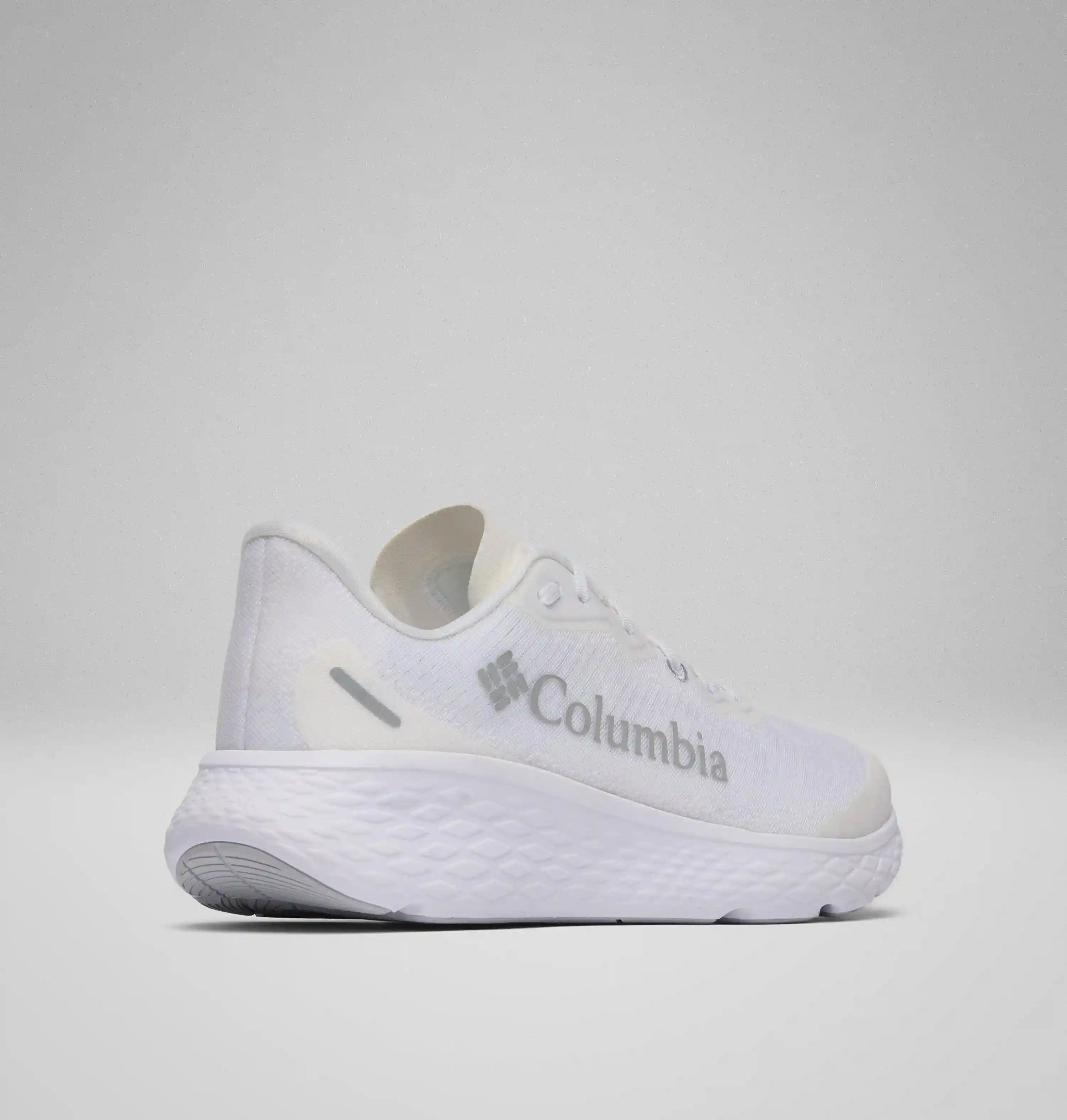 columbiacenter.it.com