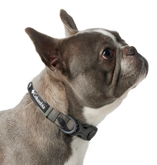 Silver Ridge Dog Collar