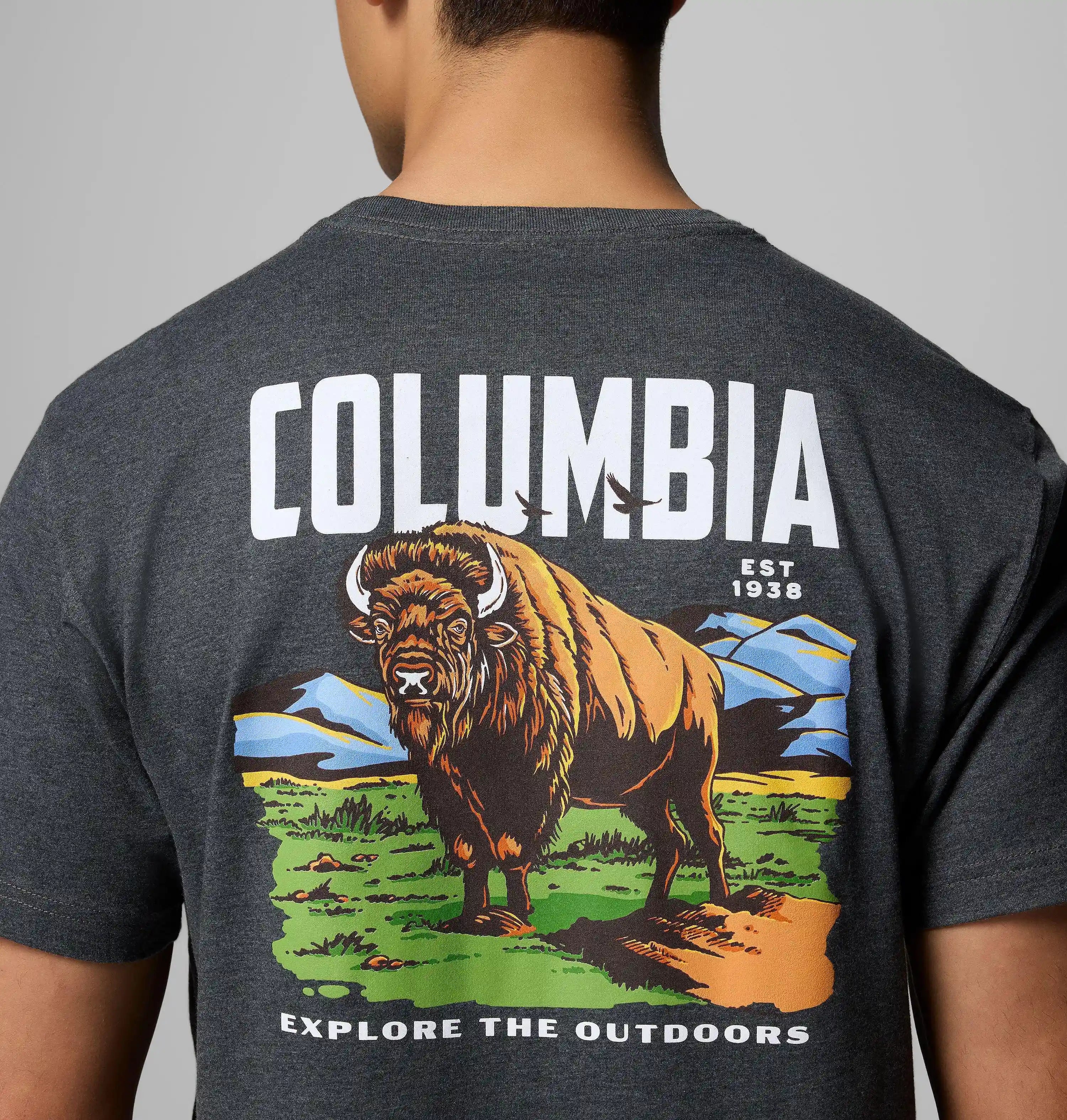 columbiacenter.it.com
