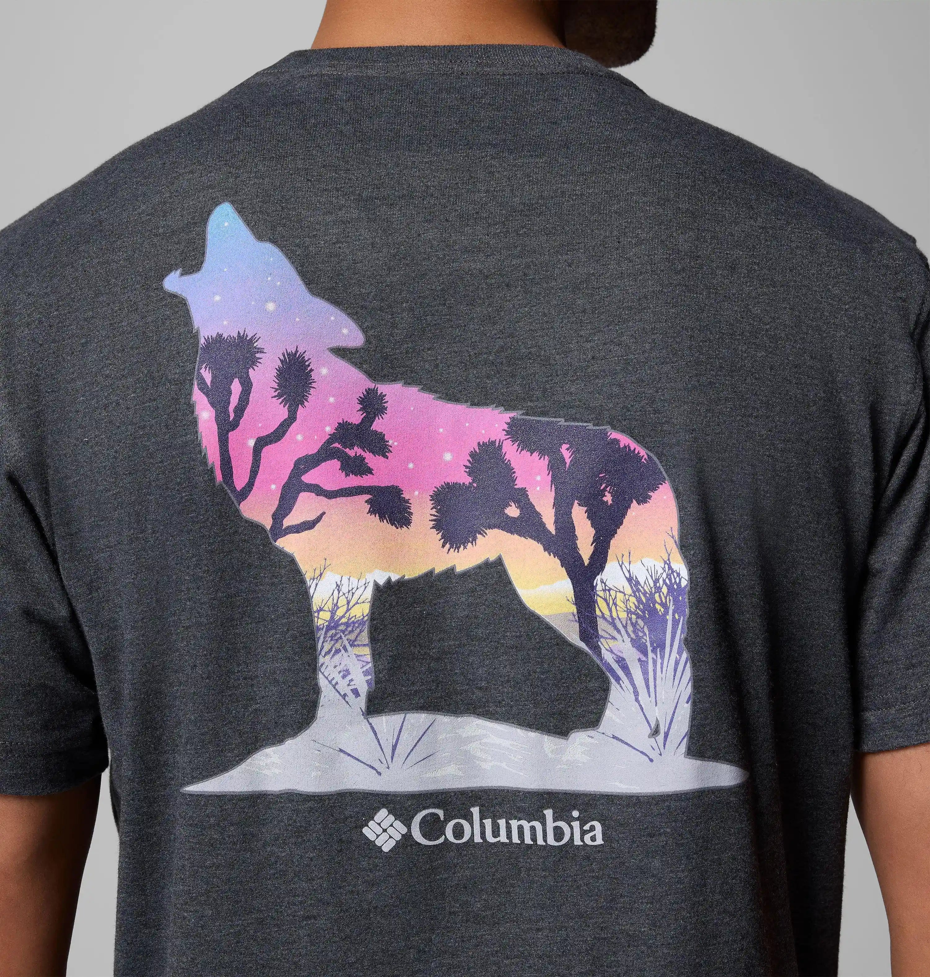 columbiacenter.it.com