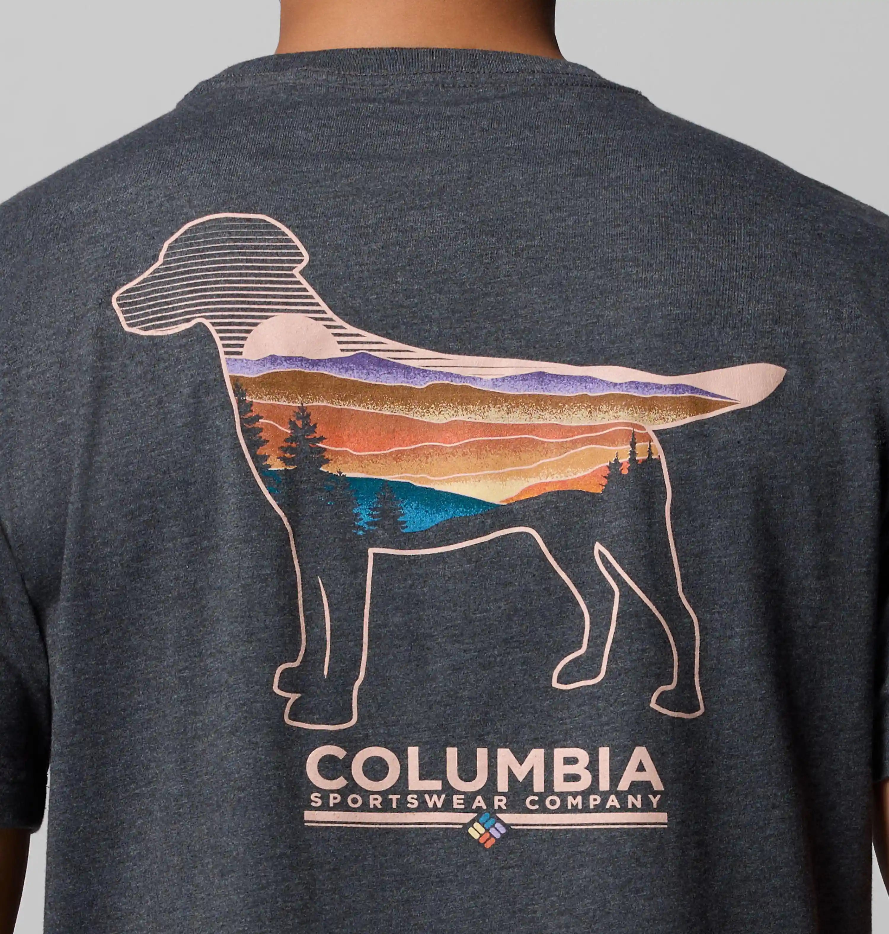 columbiacenter.it.com