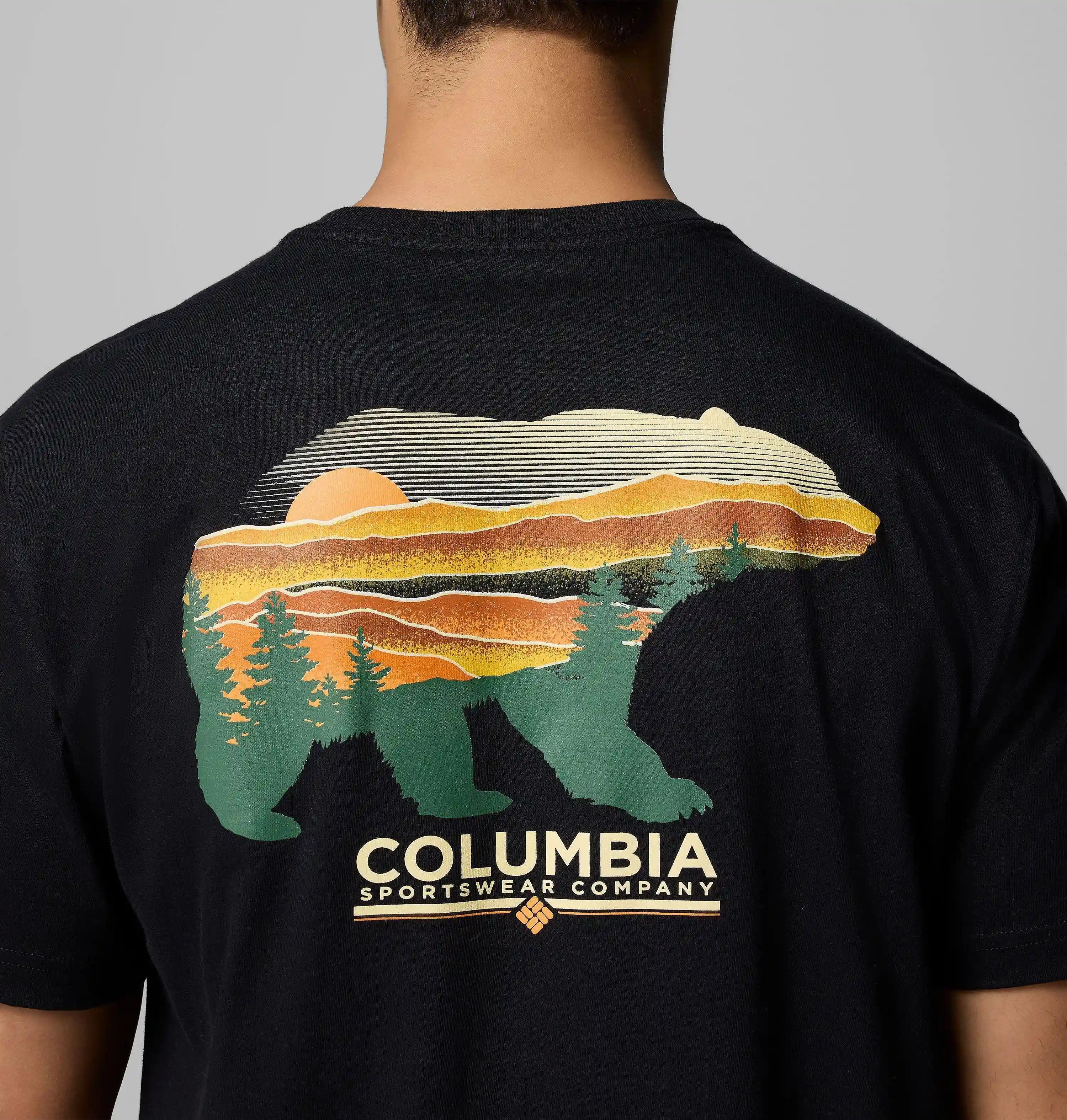 columbiacenter.it.com