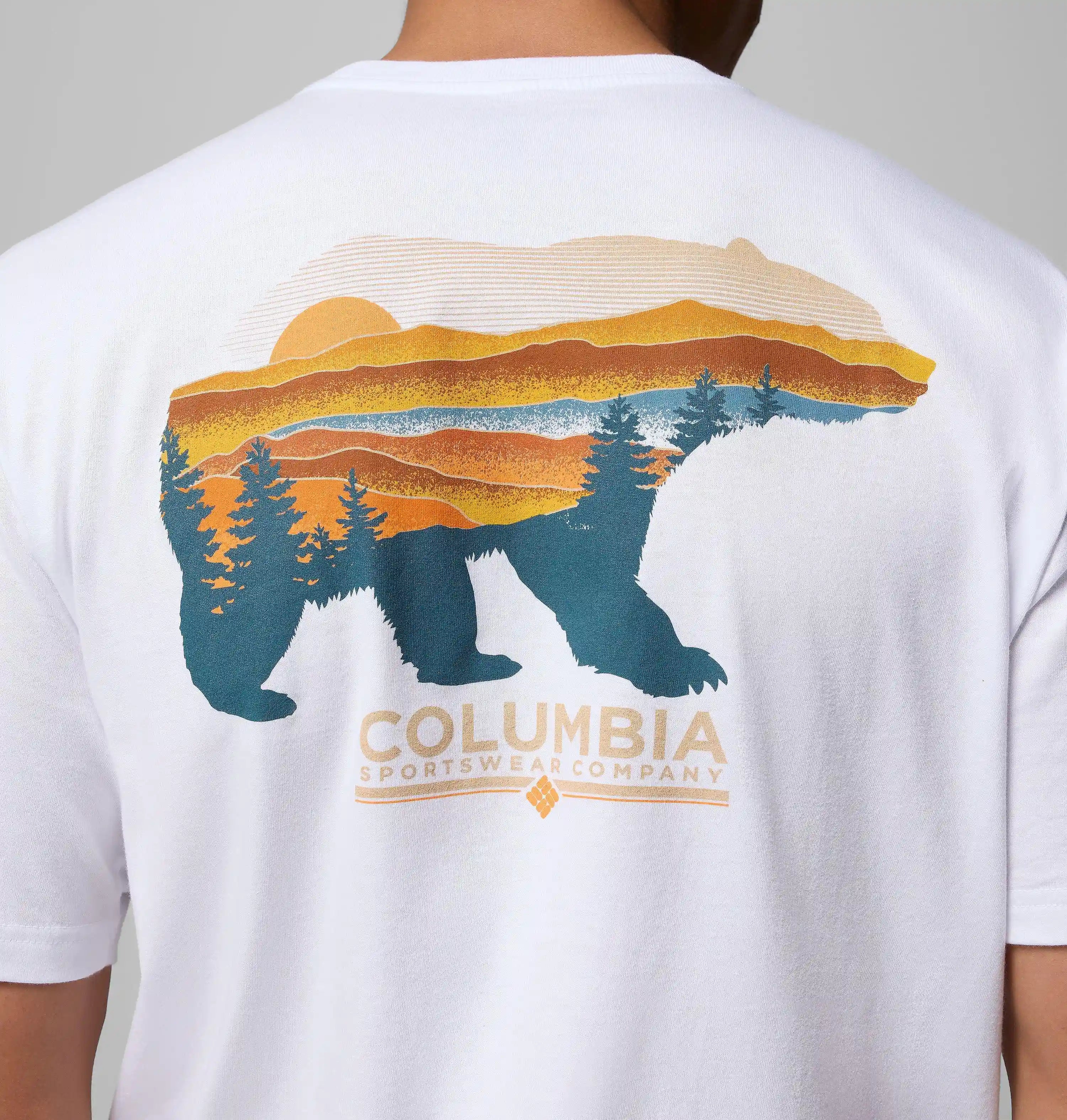 columbiacenter.it.com
