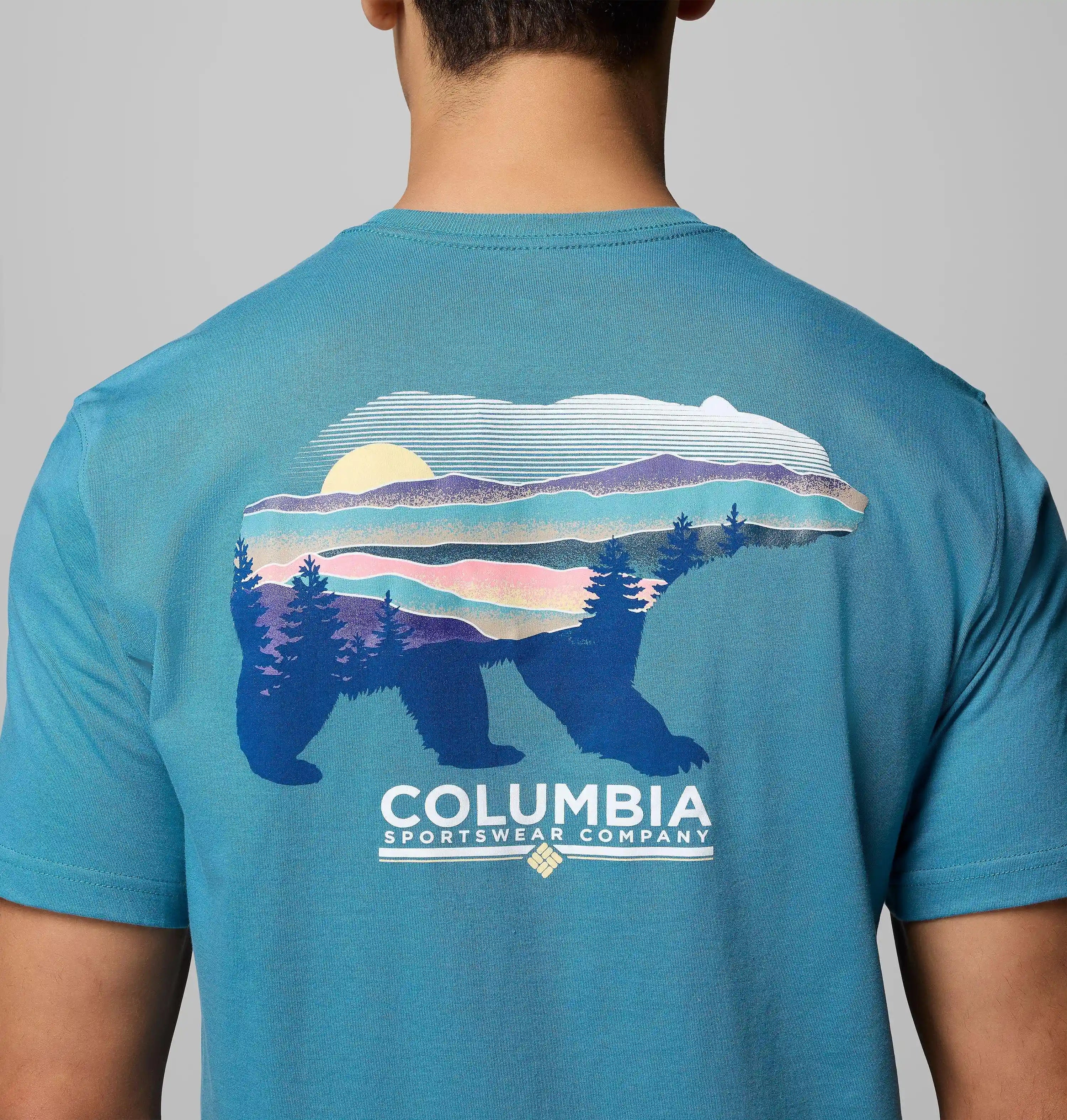 columbiacenter.it.com