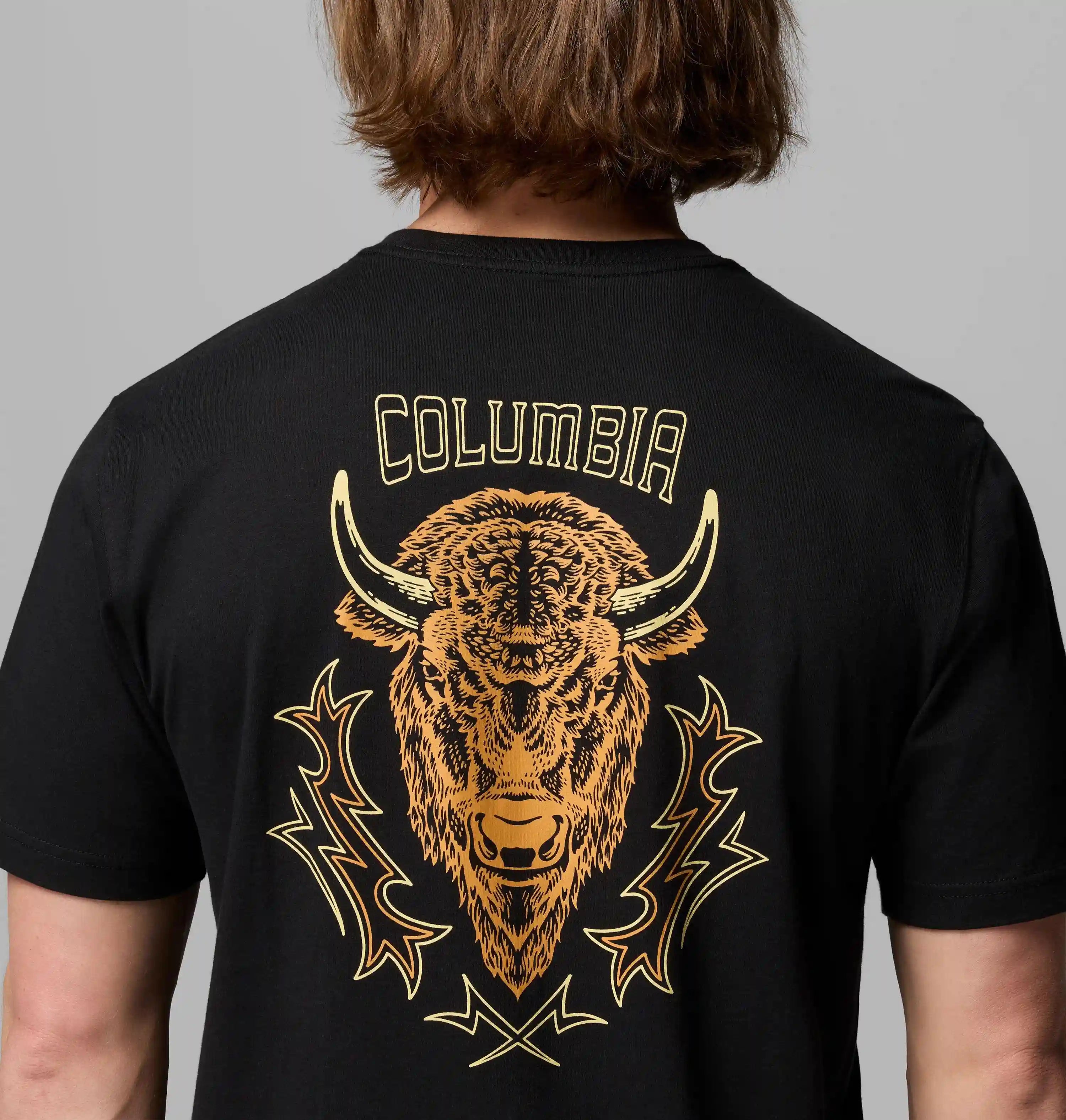 columbiacenter.it.com