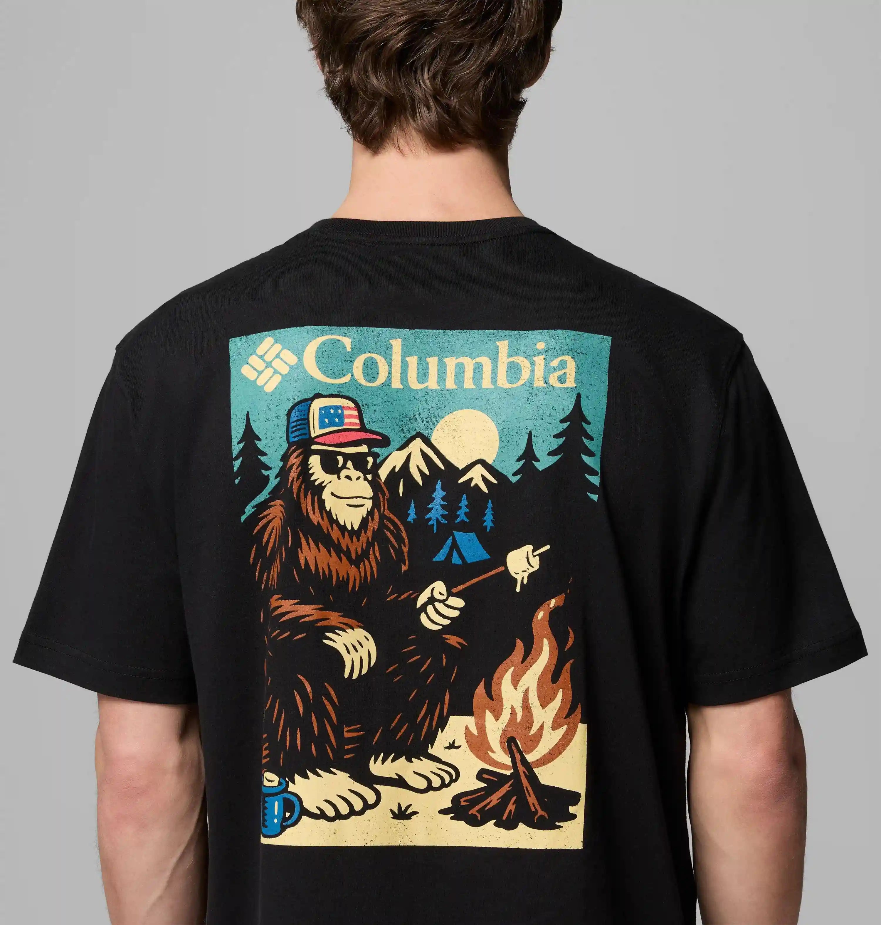 columbiacenter.it.com